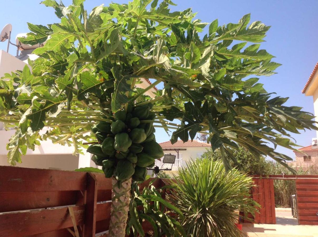 Carolyn Villa Is A Luxury 4-Bedroom Villa With Private Pool In Ayia Napa Ngoại thất bức ảnh
